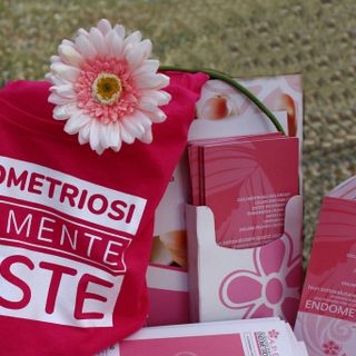“Endometriosi e Genitorialità”, se ne parla a Torino l'11 giugno