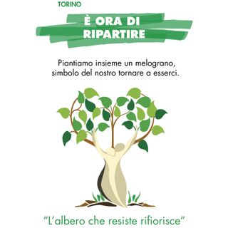 Melograno di Avo Torino