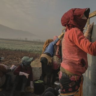 I vincitori del 5° Job Film Days: &quot;Aamelat&quot;, sulle donne siriane rifugiate in Libano, è il miglior film