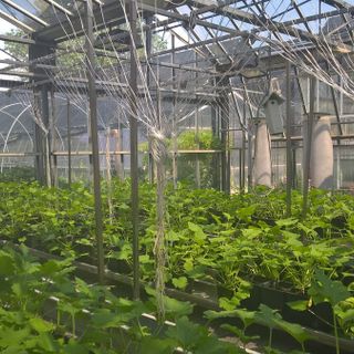 il centro di ricerche di Agroinnova
