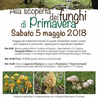 Il 6 maggio a Coazze la filiera forestale protagonista de “Lu bo e la fejri”