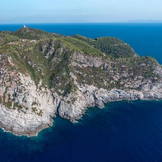 Isola di Gorgona (www.giglioinfo.it)