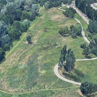 Torino sempre più verde: in arrivo duemila nuovi alberi per il Parco Sangone