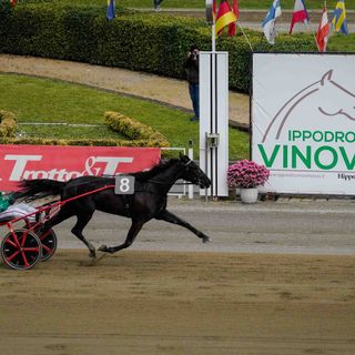 Gran Premio Città di Torino, Bleff Dipa e Blackflash Bar fanno il vuoto