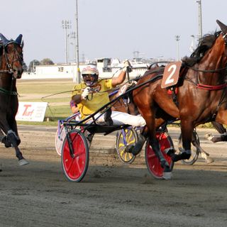 La sera delle speranze a Vinovo, prima volta in pista per i puledri di due anni