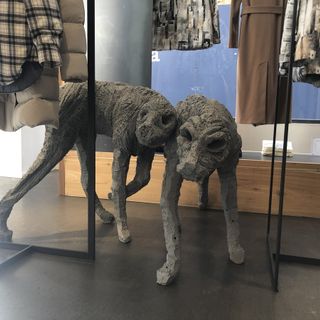 Da Aspesi è arrivato il  Branco di Paolo Grassino