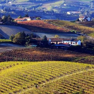 Vuoi organizzare una visita con degustazione in cantina? L’azienda agricola Ivaldi riapre le porte ai visitatori