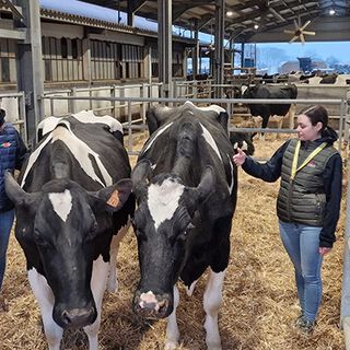 Nel 2024 meno aziende agricole nel torinese. Coldiretti: "Criminalizzazione agricoltura mina produzione cibo"