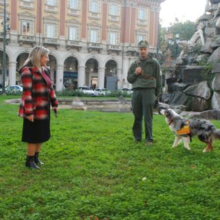 Si chiama Myrtille, l'angelo a 4 zampe che salva i suoi simili dai bocconi avvelenati (FOTO)