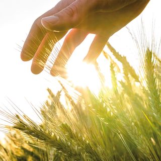 A cena con gli agricoltori di Castagnole Piemonte