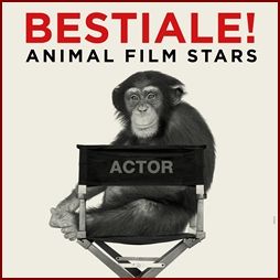 Gli eventi in calendario al cinema Massimo e alla Bibliomediateca di Torino