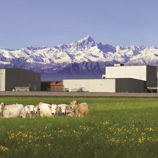 Biraghi aderisce a &quot;Filiera Italia&quot;, la prima allenza tra agricoltura e industria