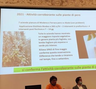 BioDea – risposte scientifiche nel workshop di venerdì 25 febbraio