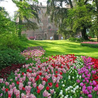 Primavera e tulipani, prosegue l'appuntamento a Pralormo con Messer Tulipano