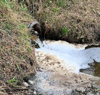 L'Istituto superiore della Sanità: &quot;Tracce di coronavirus nelle acque reflue di Torino già a dicembre 2019&quot;