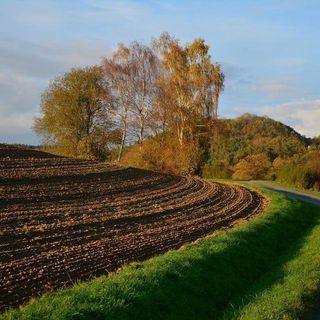 I Caa aiuteranno gli agricoltori per le pratiche amministrative