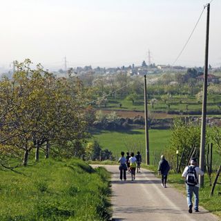 Pecetto, dal 10 aprile al via la rassegna &quot;Dal Fiore al Frutto&quot;