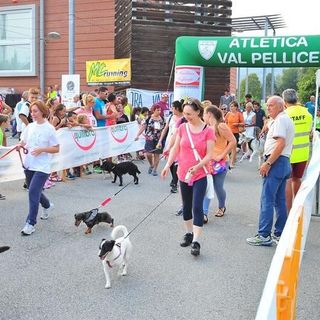 Bricherasio: domani torna il Giro podistico del Belvedere