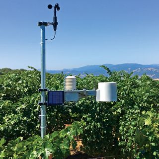 L'Erbaluce brinda al futuro e punta sul meteo smart e sul &quot;gusto&quot; di pompelmo