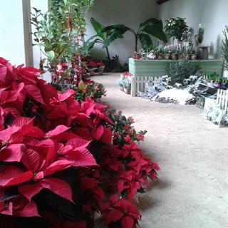 Il mercatino di Natale alla Serra Neogotica del Castello di Miradolo