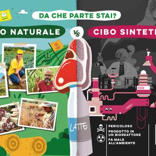 Oggi al mercato di piazza Vittorio è possibile firmare la petizione contro la produzione e la commercializzazione del cibo sintetico