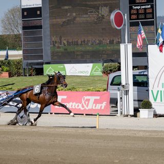 Ippodromo di Vinovo, Gran Premio Città Torino: doppia festa per Colbert Wf e Chance Ek