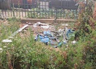 Il giardino di via Col di Lana sommerso da piante e sporcizia: il problema sbarca in Consiglio Comunale
