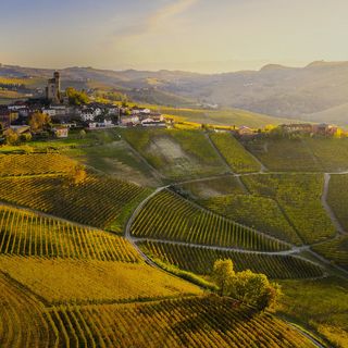 È stata lanciata una petizione su change.org per chiedere alle istituzioni locali e nazionali di inserire Torino-Piemonte World Food Capital tra le priorità delle prossime azioni