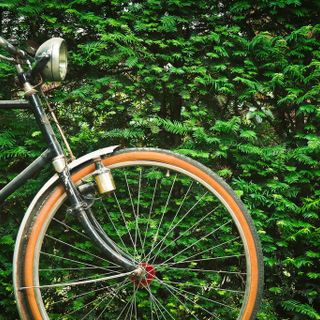 Il Consiglio della Circoscrizione 6 discute di ordine e decoro pubblico del territorio