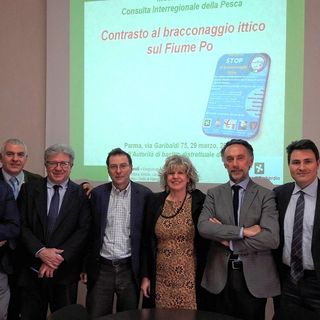 Stop al bracconaggio ittico nel bacino del Po: al via l’accordo per la lotta alla pratica illegale e dannosa per l’intero ecosistema