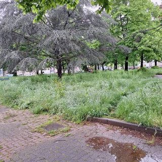 Il corridoio delle farfalle