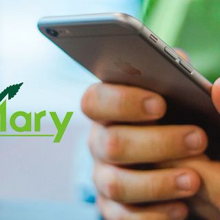 A Torino JustMary.fun consegna gratis a casa la cannabis legale