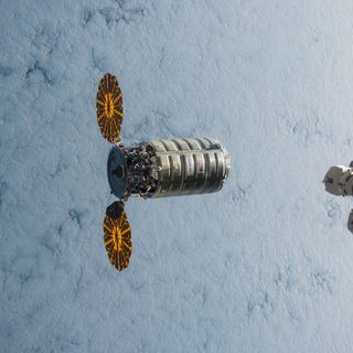 Un altro &quot;Cigno&quot; torinese in viaggio verso la Stazione Spaziale Internazionale per scoprire come si coltivano i ravanelli tra le stelle