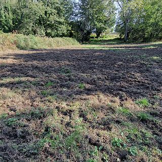 Parco 5 laghi di Ivrea, da oltre un mese bloccato il contenimento dei cinghiali