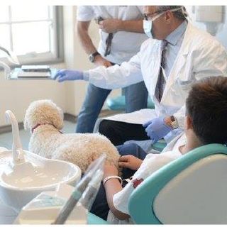 All'ospedale Martini di Torino arriva la Dog Therapy