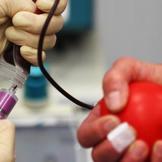 Donazione di sangue, il Piemonte la regione più generosa