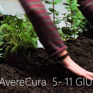 Prendersi cura dell'ambiente e del territorio: alla Circoscrizione 7 arriva Earthink Festival