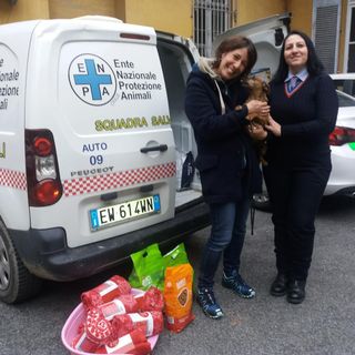 La Polizia locale di Nichelino si autotassa per aiutare il canile di Chieri