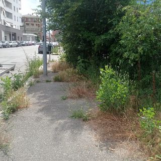 Pulizia urbana fai-da-te: parte la campagna contro l’erbino