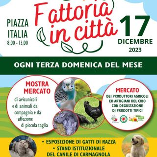Carmagnola, domenica 17 ottavo appuntamento dell'anno con “Fattoria in Città”
