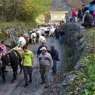 Domenica 8 ottobre la terza edizione della “Dèsarpà” a Usseglio
