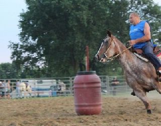 A San Francesco al Campo si festeggia il Cavallo e non solo