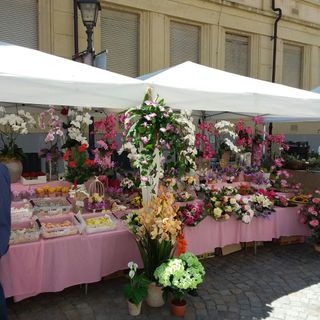 Da 15 anni a Venaria Reale, il weekend è dedicato Festa delle Rose...! (Foto e Video)