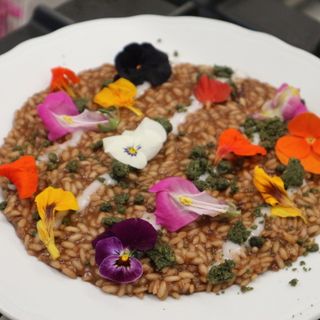 cucina con fiori di alassio