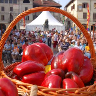 foto di archivio
