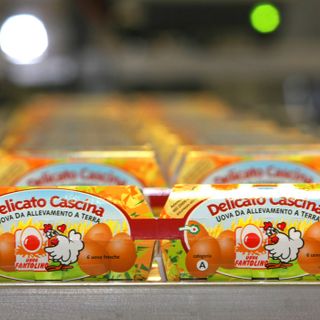 Buone e coccolate: le galline Fantolino ora fanno uova &quot;Delicatissime&quot; [VIDEO]