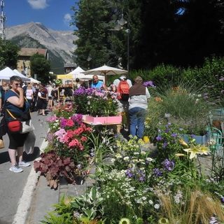 Flor in versione estiva a Bardonecchia