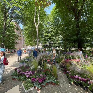 Da oggi Flor profuma e colora i Giardini Reali di Torino