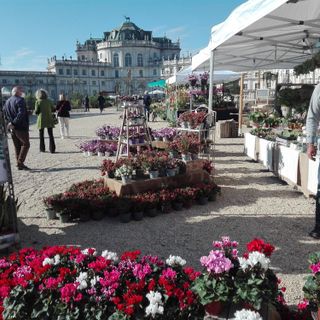 Floreal 2022: la kermesse torna con un'anteprima primaverile alla Palazzina di Caccia di Stupinigi