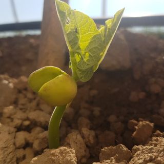 Ripartire dal suolo: le linee guida di Fondazione Agrion
